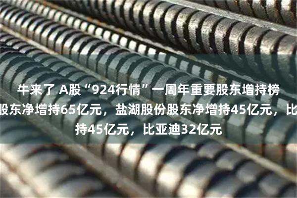 牛来了 A股“924行情”一周年重要股东增持榜：南京银行股东净增持65亿元，盐湖股份股东净增持45亿元，比亚迪32亿元