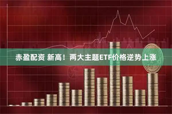 赤盈配资 新高！两大主题ETF价格逆势上涨