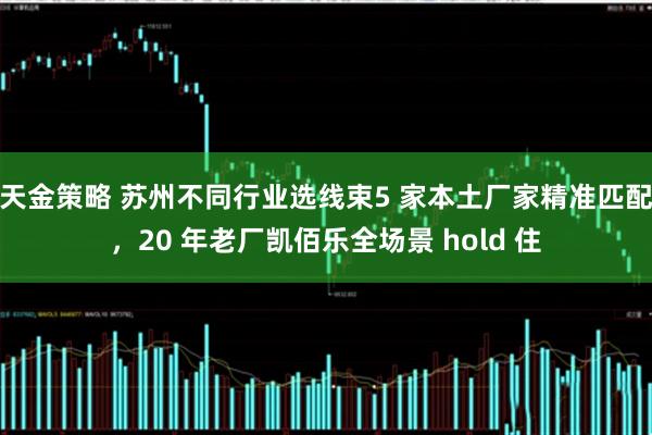 天金策略 苏州不同行业选线束5 家本土厂家精准匹配，20 年老厂凯佰乐全场景 hold 住